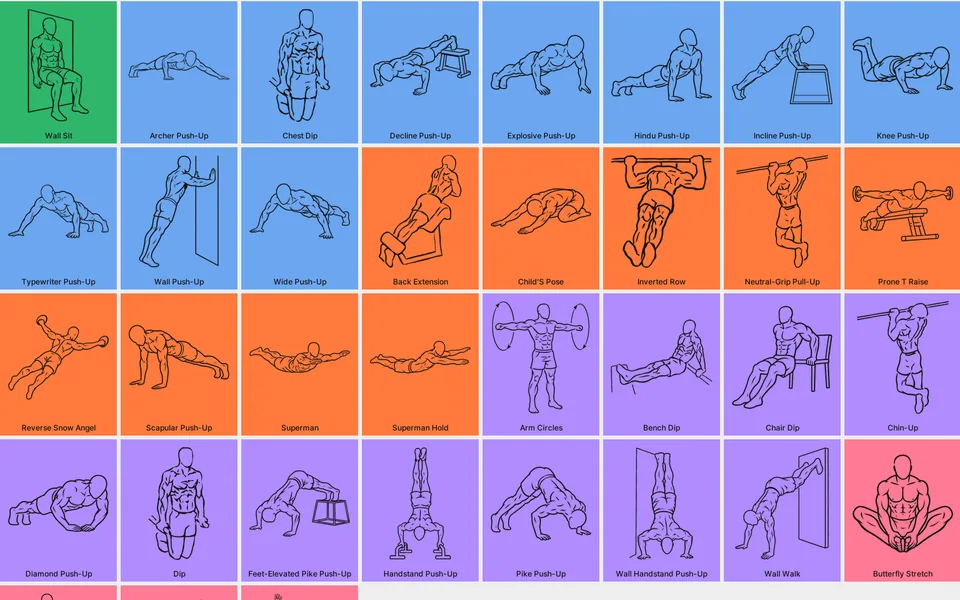 Een raster van oefeningen als zwarte lijntekeningen, elk op het vlak van zijn spiergroep: blauwe opdrukvarianten, oranje oefeningen voor de rug zoals Pull-Up en Superman, en lila oefeningen voor de armen zoals Dip en Handstand Push-Up.
